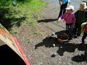 Celodenní výlet na Bezděz title=